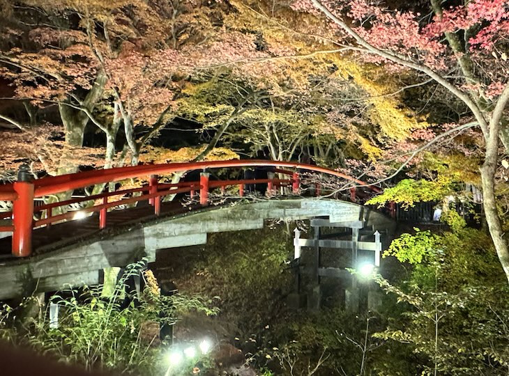 河鹿橋 紅葉の時期ののライトアップ
